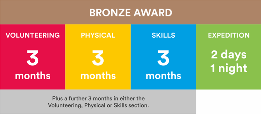 Bronze award